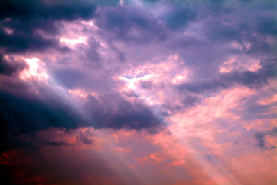 Image Concealment Films - MH Studios